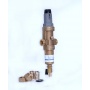 Фильтр с редуктором давления BWT Protector mini H/R 3/4 HWS горячая вода