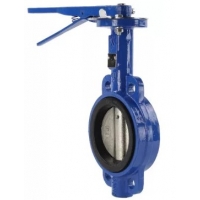 Затвор поворотный дисковый D125 PN16 EPDM межфланцевый, чугунный диск