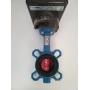 Затвор поворотный дисковый DN50 PN16 Tecofi VPI4448 с электроприводом PSR-E50 Automation 230VAC