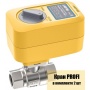 Система контроля протечки воды NEPTUN Profi Base 1/2"
