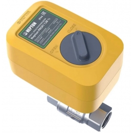 Система контроля протечки воды NEPTUN Profi Smart + Tuya 1/2"