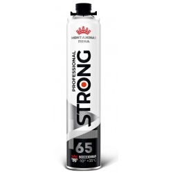 Пена монтажная профессиональная T Strong Professional 65 всесезонная