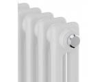 Дизайн-радиатор трубчатый Royal Thermo Insignia C2180 10 секций, боковое подключение, белый