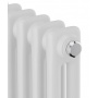 Дизайн-радиатор трубчатый Royal Thermo Insignia C2180 10 секций, боковое подключение, белый
