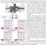 Узел термостатический Vieir с запорно-балансировочным клапаном для нижнего подключения радиатора