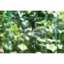 Микроспринклер подвесной Красный Green Helper