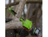 Пила цепная аккумуляторная мини Greenworks GD24CSMNX, 24V, 15см, бесщеточная, без АКБ и ЗУ