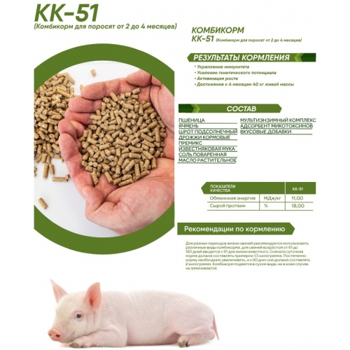 Комбикорм ОККОРМ рост для поросят от 2 до 4 месяцев, гранулы, 25 кг купить в интернет магазине Санрай73