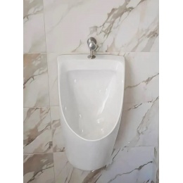 Писсуар Aquatek 340х315х550 мм, смывной механизм, крепление