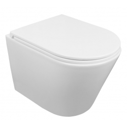 Унитаз подвесной Azario Teramo  AZ-0053-UQ3 безободковый, смыв торнадо, микролифт, скрытое крепление