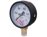Манометр радиальный РОСМА ТМ-310P.00,  63мм, 1,0MPa, 1/4", класс 2.5