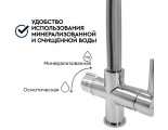 Смеситель для кухни Барьер Dual-02FSАSB, с 2 выходами для фильтра, гибкий черный излив, хром