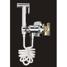 Смеситель с гигиеническим душем Elghansa 12R0827B Set-53, встраиваемый