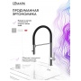 Смеситель для кухни Lemark Beluga LMF-8074B-C, однорычажный, гибкий излив, 2 режима, хром/черный