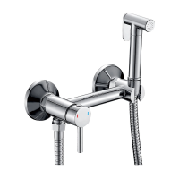 Смеситель с гигиеническим душем Vieir V502552, настенный, однорычажный