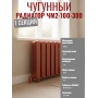 Радиатор чугунный ЧМ2-100-300 1 секция (Чебоксары)