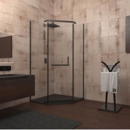 Душевой угол Veconi распашной трапеция RV36B-100-01-C5 1000х1000х1950,черный,прозрачное