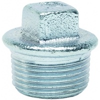 Заглушка 1 1/2"нр с бортиком Gebo Platinum из ковкого чугуна оцинкованная