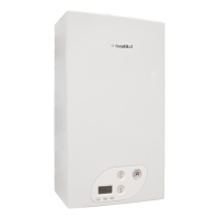 Котел газовый Fondital Antea PLUS CTN 24 настенный