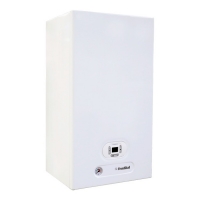 Котел газовый Fondital MAIORCA CTFS 28