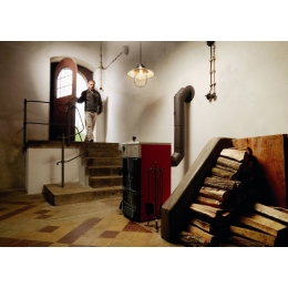 Твёрдотопливный котёл 24кВт Protherm Бобёр 30 DLO, напольный, одноконтурный