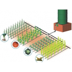 Капельный полив "Своими руками" от емкости, 150 растений