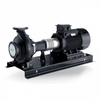 Насос LEN125-100-200D поверхностный консольный LEO