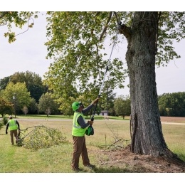 Высоторез/Сучкорез аккумуляторный Greenworks Арт. 1402207, 82V, 25 см, бесщеточный, без АКБ и ЗУ