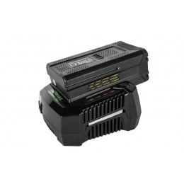 Зарядное устройство Greenworks GC82C, 82V, 4А