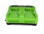 Зарядное устройство Greenworks G24X2UC2 для 2-х АКБ, 24V, 2А