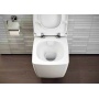 Унитаз подвесной Vitra Metropole 7672B003-1687 с бидеткой и встроенным смесителем