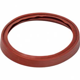Кольцо уплотнительное DN60