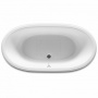 Ванна 170х85 чугунная ROCA Newcast White