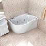 Экран 160x100 Тритон Николь левый