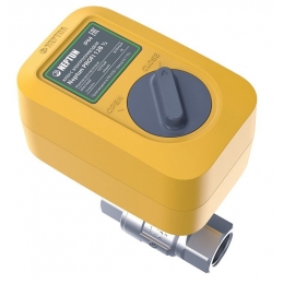 Кран шаровой с электроприводом NEPTUN Profi 1 1/4" 220В