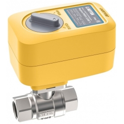 Кран шаровой с электроприводом NEPTUN Profi 1 1/4" 220В