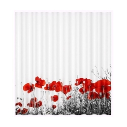 Шторка для ванной WasserKraft Main SC-47101