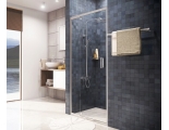 Душевая дверь WasserKraft Berkel 48P13